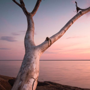 dekadenanalyse human design